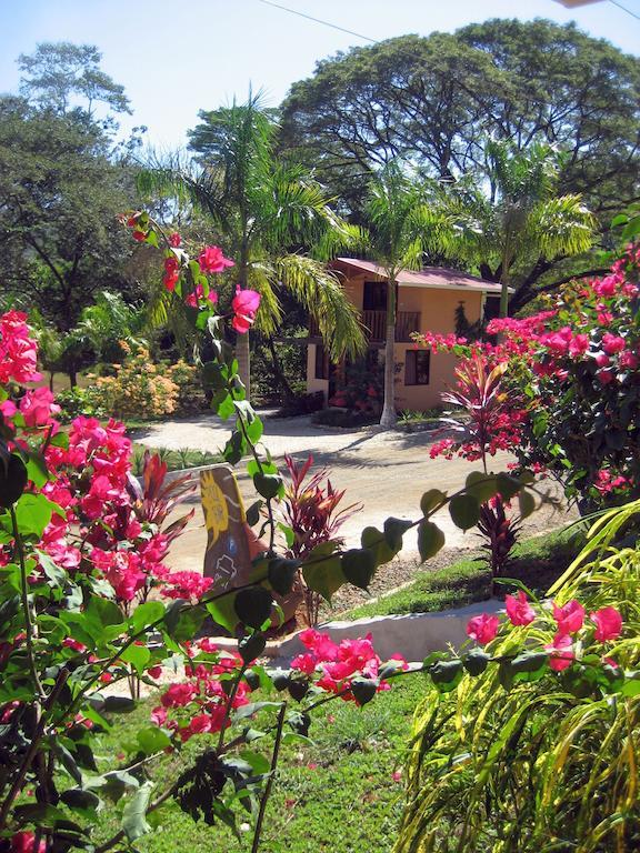 فندق Jicaralفي  Royal Heights الغرفة الصورة